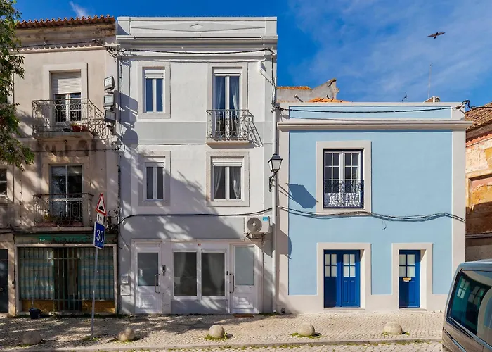 Felp Santa Maria 2 *